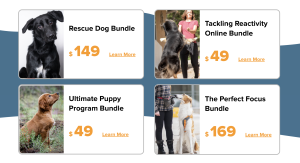 SpiritDog's Virtual Dog Training Classes